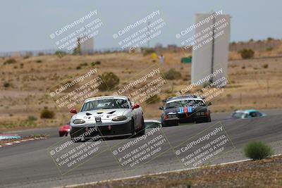 media/May-03-2025-Lucky Dog Racing (Sat) [[206de64b9d]]/Turn 6 (150pm-230pm)/